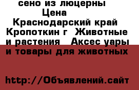 сено из люцерны  › Цена ­ 50 - Краснодарский край, Кропоткин г. Животные и растения » Аксесcуары и товары для животных   